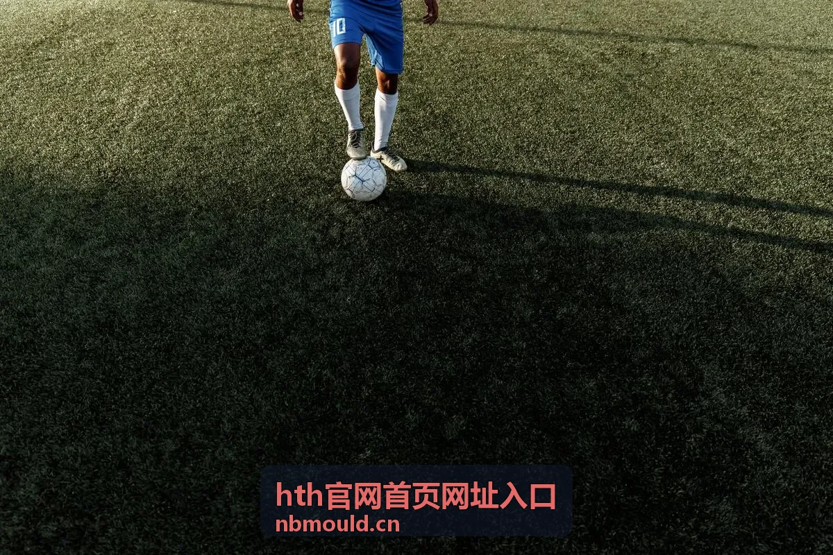 hth官网首页网址入口汽车内饰件注塑模具项目